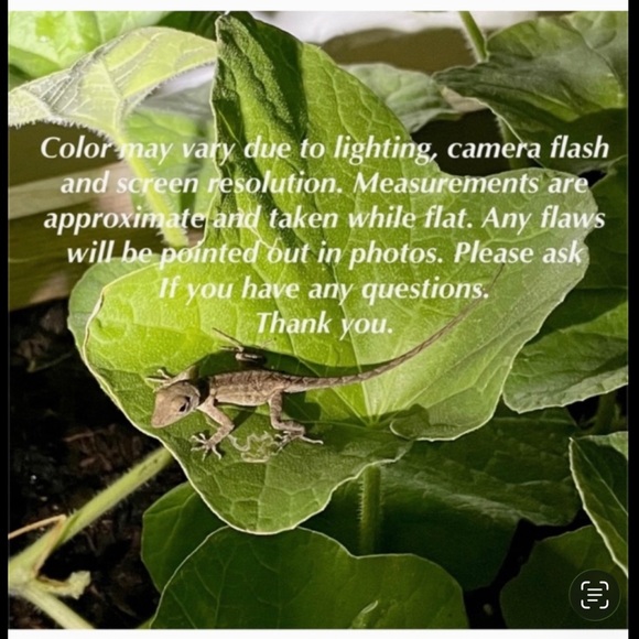 Bridgerton Novel Set by Julia Quinn - Picture 4 of 5